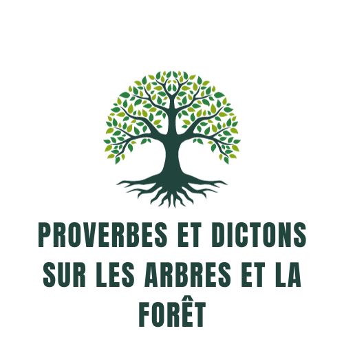 Proverbes et dictons sur les arbres et la forêt
